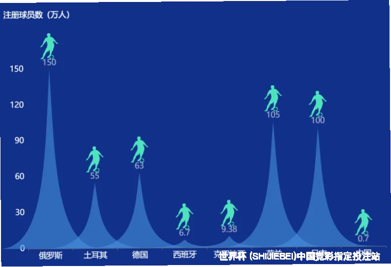 使用方法与注意事项